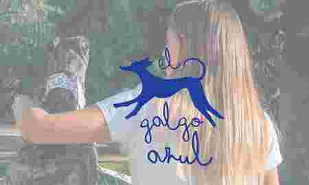 Lifting Group desarrolla la nueva página web para El Galgo Azul